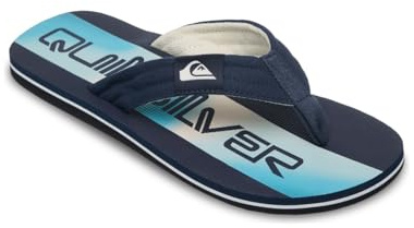 Quiksilver Molokai Layback Aqua Holmes