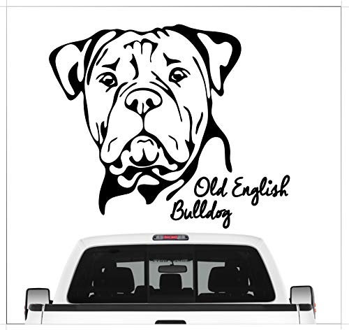 siviwonder Auto Aufkleber Old English Bulldog Portrait Bully Hund OEB Wilsigns Hundeaufkleber autoaufkleber Hund Folie Hundemotiv (schwarz)