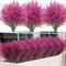 12 Bundles Buissons d'Arbustes Artificiels Fleurs Rose Fausse Lavande Plantes Décoration pour Maison Arrangement Floral Jardin Fenêtre