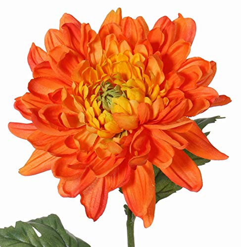 Shophaus24 Chrysantheme Kunstblume, 3 Blättern, große Blüte. D 16 cm, L 76 cm. 1 Stück