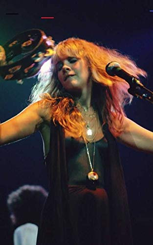 Target Store Stevie Nicks Poster, gerollt, 30,5 x 45,7 cm