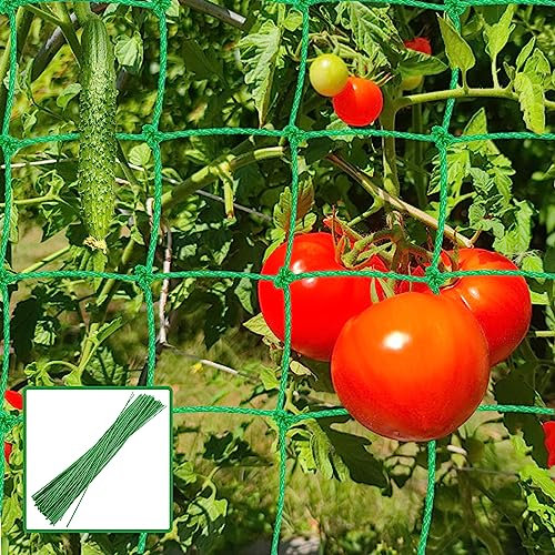 1.8 x 6m Pea Netting Climbing Plant Support Mesh, Trellis Netting Garden Plant Support Net, Nylon Trellis Garden Netting Mesh for Sweet Pea Bean Tomato Cucumber Veg Fruit Vine Plant
