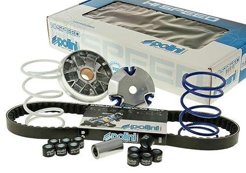 KIT VARIATEUR PEUGEOT 50 LUDIX