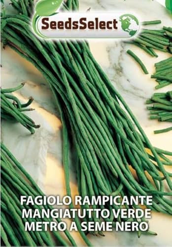 FAGIOLO RAMPICANTE METRO A SEME NERO BUSTINA DA GR 25