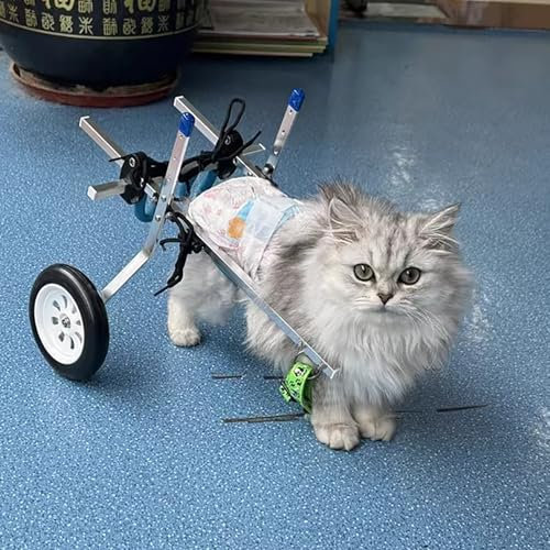 Hunderollstuhl Rollstuhl zur Unterstützung der Hinterbeine von Katzen und Hunden, XXS Bis XS, Beinschiene für Kleintiere mit Weichem Geschirr, 2 Hunde-Stützwagen mit Rädern, Geringes Gewicht(Size Xxs)