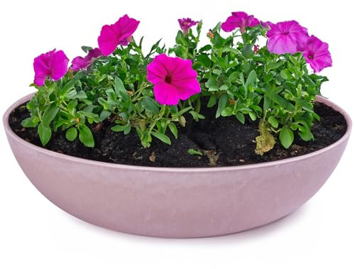 matches21 HOME & HOBBY Vaso per piante per esterni, in marmo rosa antico, 30 x 9 cm, resistente alle intemperie