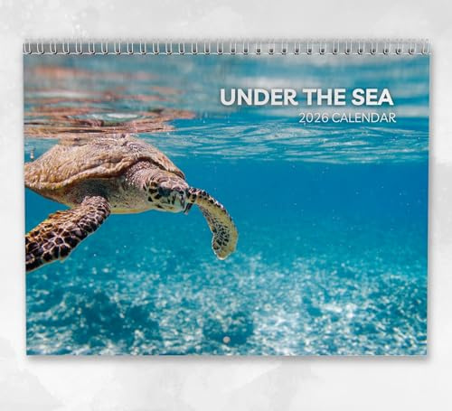 Under the Sea Kalender 2026 - Monatlicher Wandkalender mit Notizen, hängend im A4-Format, inklusive Schlüsseldaten & Feiertagen