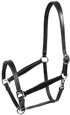 PFIFF 102367 Halfter Tender, Lederhalfter, weich unterlegt, Schwarz Full/Warmblut