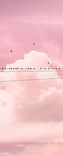 Komar Vlies Fototapete - Cloud Wire Panel - Größe 100 x 250 cm (Breite x Höhe) - Wolken Rosa Himmel Wand Tapete Wohnzimmer Schlafzimmer Büro Flur Dekoration Wandbild - P017-VD1