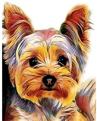 YSCOLOR Malen Nach Zahlen Für Erwachsene Kinder Yorkshire Terrier Hund Tier Diy Ölgemälde Digitales Malen Nach Zahlen Kits Auf Leinwand Dekoration Geschenk 40X50cm