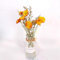 Margarita Pequeña Margarita De Paja Ramo De Flores Secas Margarita De Piña Flor Real Decoración Seca Al Aire Arreglo Floral Literario DIY