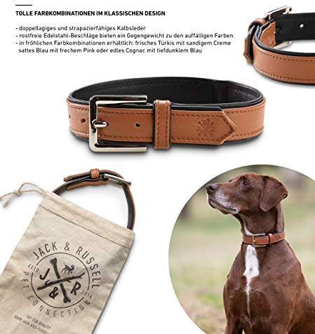 Jack & Russell Premium Leder Hunde Halsband Lilly - Lederhalsband Kalbleder - Hundehalsband Echtleder Lilly (S, Braun/Schwarz)