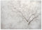 Feeby - 3d Tapete - 300x210cm - Fototapete Schlafzimmer - Baum ohne Laub - Deko Wohnzimmer - Wallpaper - Wand Deko - Wandtapete - Wandbild XXL - Tapete - Wanddeko - Vliestapete - Wandbilder