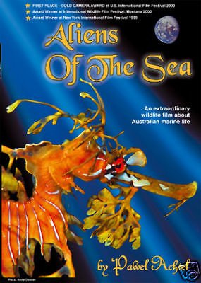 Aliens Of The Sea by Pawel Achtel