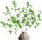 Tuxiaobu 39 Inch Artificial Eucalyptus Branches Leaves Decoration for Floor Vase, Plastic Mistletoe Plant Garland Corkscrew Hazel Branches, Artificial Plants, Large Like Real (Pack of 3)