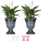 SG Traders Large Urn Plant Pot Stand, Flower Pots Outdoor Garden Planters, Indoor Plant Pot, Tall Planter with Drainage Holes, Strong Plastic Patio Home Plants (Pack of 2)