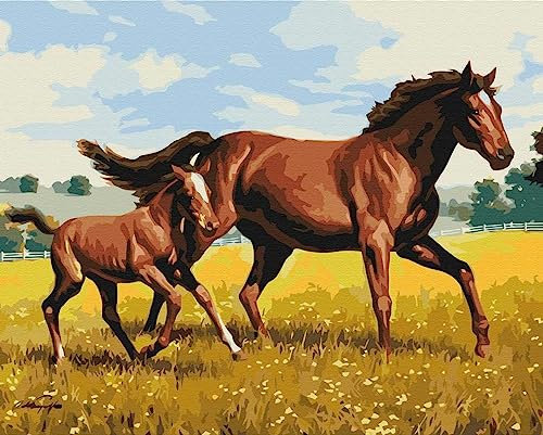 ARTNAPI Malen nach Zahlen Erwachsene mit Rahmen | DIY Handgemalt | Tiere - Familiengalopp | Kit für Anfänger und Erwachsene | Set inklusive Acrylfarben & Pinsel | 40x50cm Leinwand | Ideal als Geschenk