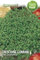 Semi Crescione Comune, Semi di Erba Aromatica, Confezione sementi professionali seeds semen semillas graines