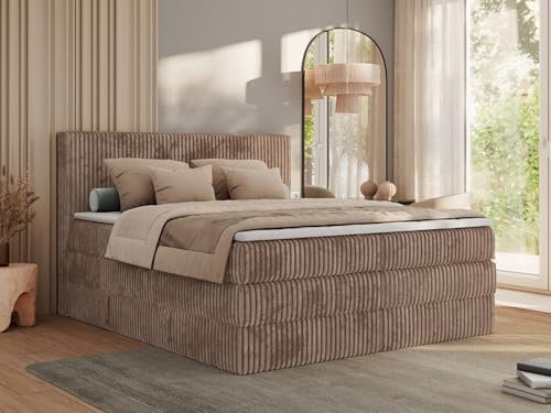 MKS MEBLE Boxspringbett 200x200 Braun Cord, Boxspringbett mit Matratze H3, Bett 200x200 mit Bettkasten and Kopfteil, Doppelbett mit Stauraum, Polsterbett 200x200 - Tiliano King