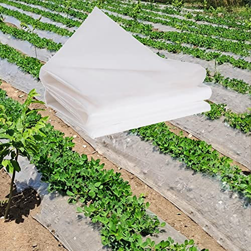 Telo in polietilene trasparente, resistente, spessore 80 micron, impermeabile, copertura per serra, tunnel agricolo, pittura resistente alla polvere e protezione del pavimento, 16 x 22 m