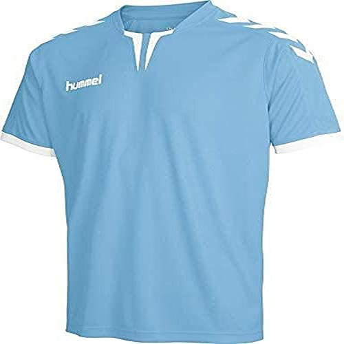 Hummel Herren Core Poly T shirt, Argentina Blue Pr, M EU