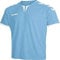 Hummel Herren Core Poly T shirt, Argentina Blue Pr, M EU