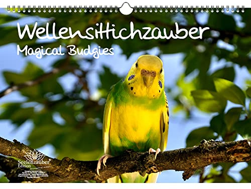 Wellensittichzauber Immerwährender Kalender DIN A3 Wellensittiche - Seelenzauber