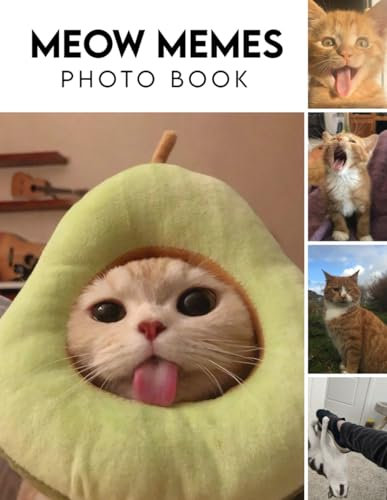 Meow Memes Photography Book: 2024 Animal Photo Picture Book Featuring Amazing Pictures and Photos For Kids And Adults Relaxation Great Picture Book Gifts Idea For Birthday, Christmas