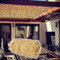 UUDQCD Toile Ombrage Exterieur, Filet De Camouflage Sable 5x5, Voile D'ombrage pour Pergola, Protection Solaire Décoration, Filet Camouflage Militaire