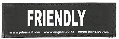 Interchangeable Patches, 1 Pair, FRIENDLY, Size: Large, Black