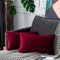 UPOPO 2er Set Samt Kissenbezug Dekorative Einfarbig Kissen Weich Kissenhülle Kissenbezüge Dekokissen Zierkissen Sofakissen für Sofa Couch Schlafzimmer Wohnzimmer mit Reißverschlüsse 30 X 50cm Weinrot
