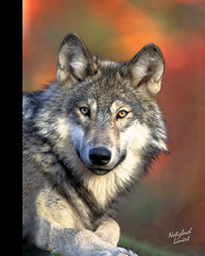 Notizbuch Liniert: Wolf Geschenke für Tierliebhaber; ein schönes Notizbuch (Taschenbuch, etwas kleiner als A4, mit Inhalt & 100 Seiten) Aus unserem Wolf Sortiment