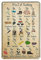 30 x 20 cm, Klettern Alphabet Wissen Poster Metall Blechschild Kunst Wandschild Dekor Vintage Retro Schild Eisen Malerei Aluminium Schild für Wohnkultur Bar Shop Männer Höhle Ou