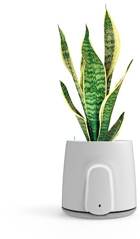 VITESY NATEDE SMART Air Purifier Without Filters to Change with Integrated Monitoring System | -99% of Bacteria, Microbes, Mold, VOCs and Viruses | Capture Ambient Odors | Sustainable & MADE IN ITALY