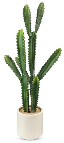 Oairse Pianta artificiale di cactus, grande pianta artificiale in vaso di ceramica, decorazione per piante Euphorbia Accruensis Cactus, cactus, per casa, giardino, ufficio, decorazione, regalo di