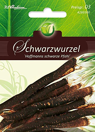 Schwarzwurzel, Hoffmanns schwarze Pfahl