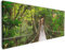 Wallario XXXL Riesen- Leinwandbild Hängebrücke im Urwald grüner Dschungel - Wandbild 80 x 200 cm Brillante lichtechte Farben, hochauflösend, verzugsfrei, Kunstdruck