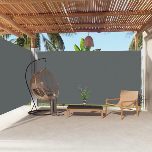 Home Outdoor OthersVersenkbare Seitenmarkise Anthrazit 200x600cm