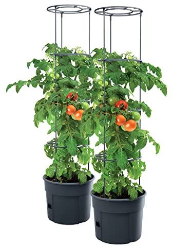 PAFEN 2X Tomatenpflanze Pflanzkübel 18l – 345 x 1270 mm - Tomato Grower Pflanzen Tomate Garten Terrasse