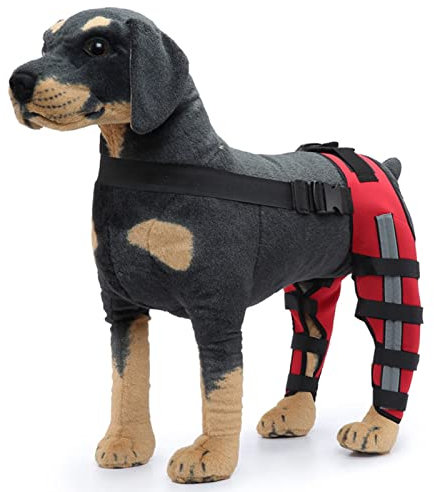 Fabater Kniestütze für Hunde, Unterstützung für Große und Kleine Hunde mit ACL, CCL, Kreuzbandverletzungen, Patellaluxation oder Arthrose für Hinter- und Vorderbeine (M)