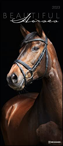 Beautiful Horses 2023 - Foto-Kalender - Wand-Kalender - 30x70