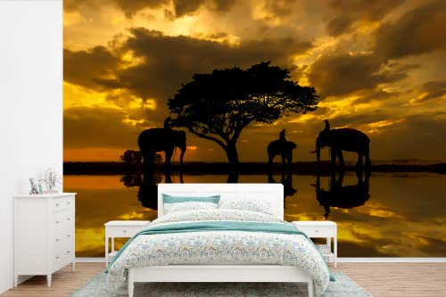 Selbstklebend Tapete Wandpapier Wandaufkleber Fototapete Tapeten Wanddeko 600x400 cm Silhouette der thailändischen Elefanten bei Sonnenaufgang