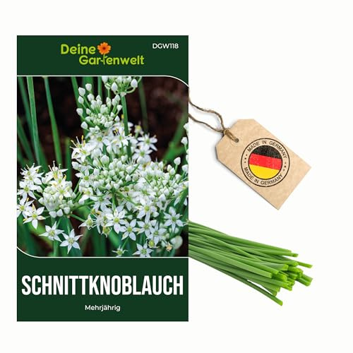 Schnittknoblauch Mehrjährig Samen - Allium tuberosum - Schnittknoblauchsamen - Kräutersamen - Saatgut für 100 Pflanzen – 5er Pack