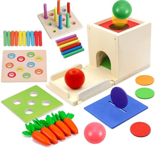 Meiruier 6-In-1 Montessori Münzbox,Ball Drop,Montessori Spielzeug ab 1 Jahr,Montessori Fischen,Karottenernte Lernspielzeug,Stapelspielzeug Lernspielzeug Geschenk für Kinder (6-IN-1)