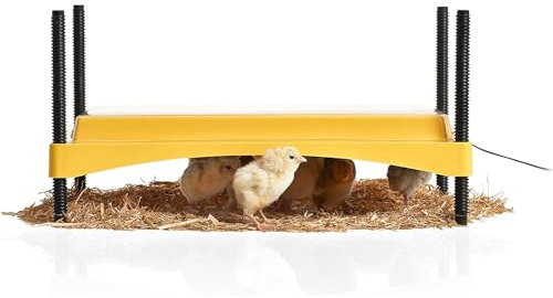 FINCA CASAREJO Criadora Pollitos de Placa Brinsea Ecoglow de 18 W (bajo Consumo) para 35 Pollitos