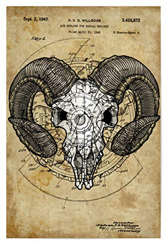 artboxONE Poster 30x20 cm Tiere Ziegenschädel hochwertiger Design Kunstdruck - Bild schädel Goth Gothic