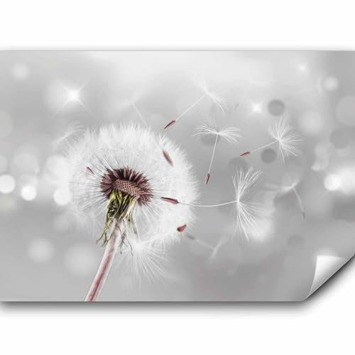 murando Fototapete selbstklebend Pusteblumen 392x280cm Foto Tapete Tapetenfolie Möbelfolie Wandverkleidung Wandtapete Motivtapeten Bildtapete Wohnzimmer 3d Effekt Modern Blumen Natur Blitz grau