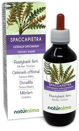 Rustyback Fern (Ceterach officinarum or Asplenium Ceterach) Leaves Alcohol-Free Mother Tincture Naturalma - Liquid Extract Drops 200 ml - Food Supplement - Vegan