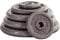 GYM MASTER Full Set of Standard 1 Weight Plates in Cast Iron - 107.5kg Total