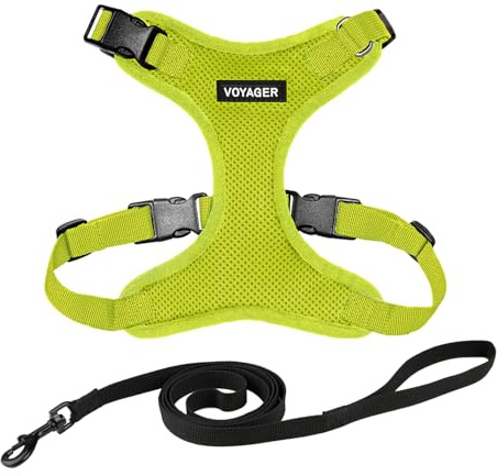 Voyager Step-in Lock Katzengeschirr und reflektierende Katzenleine mit Neoprengriff by Best Pet Supplies - Unterstützt kleine, mittelgroße und große Katzenrassen, Limettengrün, size XS - 1,5 m